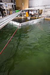 Hatchery manager (left) and director of aquaculture systems research at the Conservation Fund’s Freshwater Institute, sample Atlantic salmon in a 40,000-gallon closed-containment system: Click here for full photo caption.