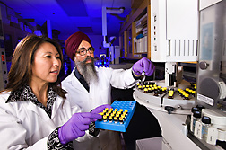 Molecular biologist (left) and chemist load lipid samples extracted from tissue for analysis of fatty acids by gas chromatography/mass spectroscopy: Click here for full photo caption.