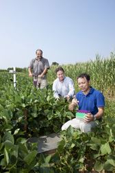 In Beltsville, Maryland, Ladislau Martin Neto (center), LABEX U.S. coordinator, and Antonio Carlos Freitas (right), another EMBRAPA researcher, evaluate greenhouse gas emissions with ARS soil scientist Michel Cavigelli, from the Sustainable Agricultural Systems Laboratory: Click here for photo caption.