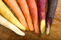Carrots of many different colors are just a sample of the variety of specimens in the Germplasm Resources Information Network (GRIN): Click here for photo caption.