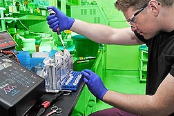 Research associate Paul Lawrence prepares a gel to analyze expression of foot-and-mouth disease virus (FMDV) proteins as part of microbiologist Elizabeth Rieder's research on novel FMDV vaccines: Click here for photo caption.