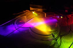 Different wavelengths and colors of light were tested to see which best attracted insects: Click here for photo caption.