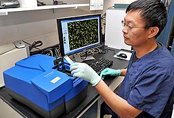 Computational biologist James Zhu scans a microarray containing over 44,000 features of the bovine genome: Click here for full photo caption.