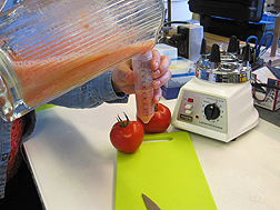 Homogenized tomato fruit sample used for measuring acids, sugars, and vitamin C at the ARS Plant Genetics Resources Unit in Geneva, New York: Click here for full photo caption.