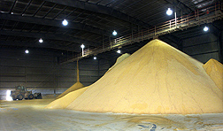 Tons of dried distiller's grains stored at the Big River Resources ethanol facility in West Burlington, Iowa: Click here for full photo caption.