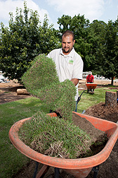 Grass Roots intern Reuben Weiser lifts a piece of Zenith zoysiagrass during sod installation for the exhibit while intern Megan Wiemer (background) obtains more sod.