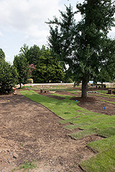 Sod being installed in July 2014 for the fall opening of the U.S. National Arboretum's Grass Roots exhibit, featuring 14 stations on everything from golf course grasses to turf diseases to green roofs.