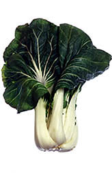 Bok-choy. Click here for full photo caption.
