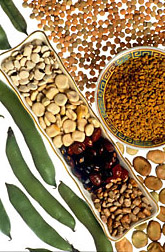 Legumes. Click here for full photo caption.