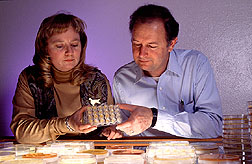 Microbiologist Robert Kremer and technician Lynn Stanley.