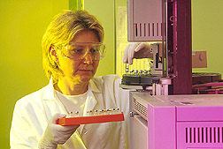 Technician uses gas chromatography to identify bacteria isolated from apple roots. Click here for full photo caption.
