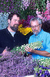 Grower and agricultural engineer examine healthy cut flowers: Click here for full photo caption.