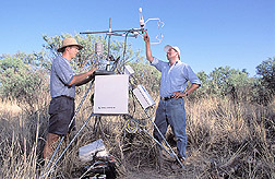 Graduate student and hydraulic engineer download data from a meteorology flux system: Click here for full photo caption.