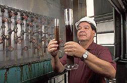Production manager inspects clarified juices: Click here for full photo caption.