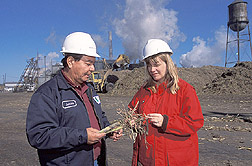 Chemist and production manager inspect billeted cane and associated trash: Click here for full photo caption.