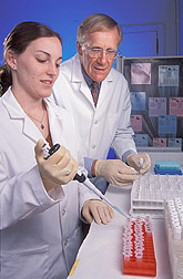 Chemist assists technician in tests on isolated fat cells: Click here for full photo caption.