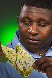 Entomologist examines a prickly pear cactus pad infested with larvae of the invasive cactus moth, Cactoblastis cactorum: Click here for full photo caption. 