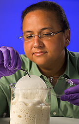 Microbiologist saturates filter paper with the foam solution for termite bioassays: Click here for full photo caption.