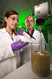 Technician and chemist prepare Paecilomyces fumosoroseus fungal powder and keratin solution for field application: Click here for full photo caption.