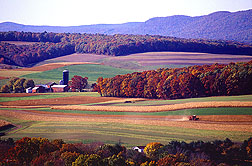 A picturesque view of a farm that uses some sustainable agriculture practices: Click here for photo caption.