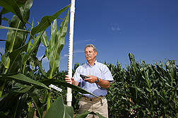 Geneticist records plant height with a hand-held field computer: Click here for full photo caption.