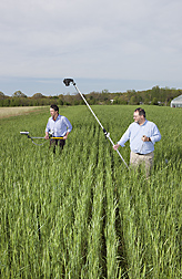 ARS physical scientist (right) uses a camera that detects near-infrared, green, and blue light. A physical scientist (left) with the U.S. Geological Survey at Beltsville, is measuring greenness with an “on-the-go” sensor available commercially: Click here for full photo caption.
