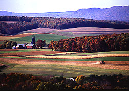 Farming near Klingerstown, Pennsylvania: Click here for photo caption.