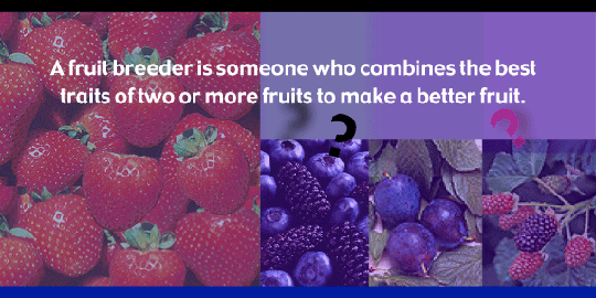 Better Fruit