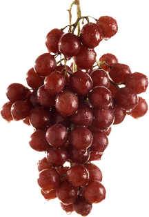 Grapes Gif