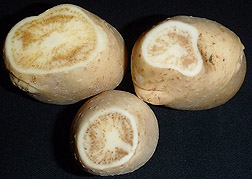 Photo: Potatoes infected with zebra chip disease. Link to photo information