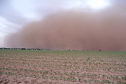 Photo: Dust storm near Lubbock, Texas. Link to photo information