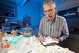 ARS entomologist John Carroll conducts tests to show the effects a 1-hour exposure to citrus rind chemicals has on ticks: Click here for photo caption.
