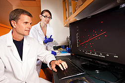 Nutrition scientist Kevin Laugero and biologist Rashel DeCant observe data that show a correlation between brain function and amount of weight lost: Click here for photo caption.