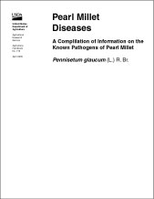 White background, Pearl Millet Diseases cover: Click here to view publication online. White background, Pearl Millet Diseases cover: Click here to view publication online.