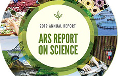 USDA ARS Report on Science 2019 annual report cover