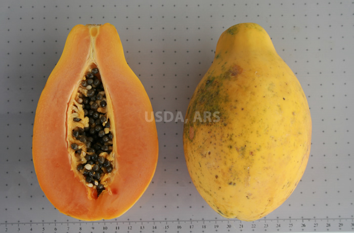 Papaya fruit, half showing seeds and whole