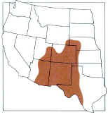 Distribution map for the groundsels.