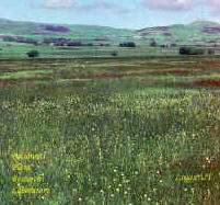 Meadow deathcamas (Zigadenus venenosus)