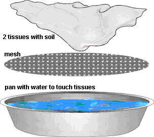 diagram of soil extraction