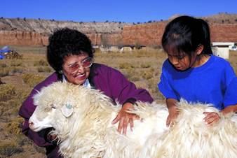 Navajo women with a churro sheep.