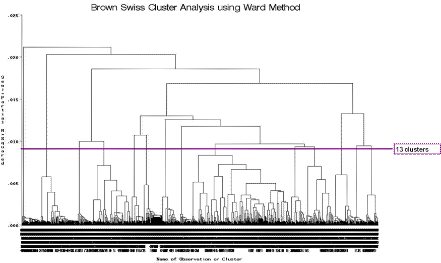 Brown Swiss cluster analysis