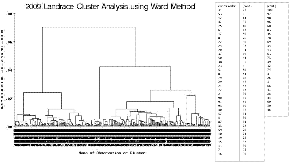 Landrace cluster analysis