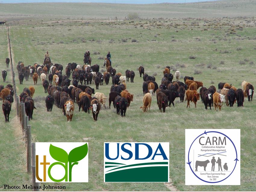 Research : USDA ARS