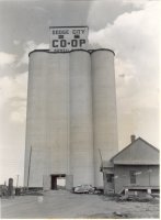 Dodge City elevator: 'A modern terminal-type country elevator with concrete, silo-type tanks having a capacity of 250,000 bushels.'