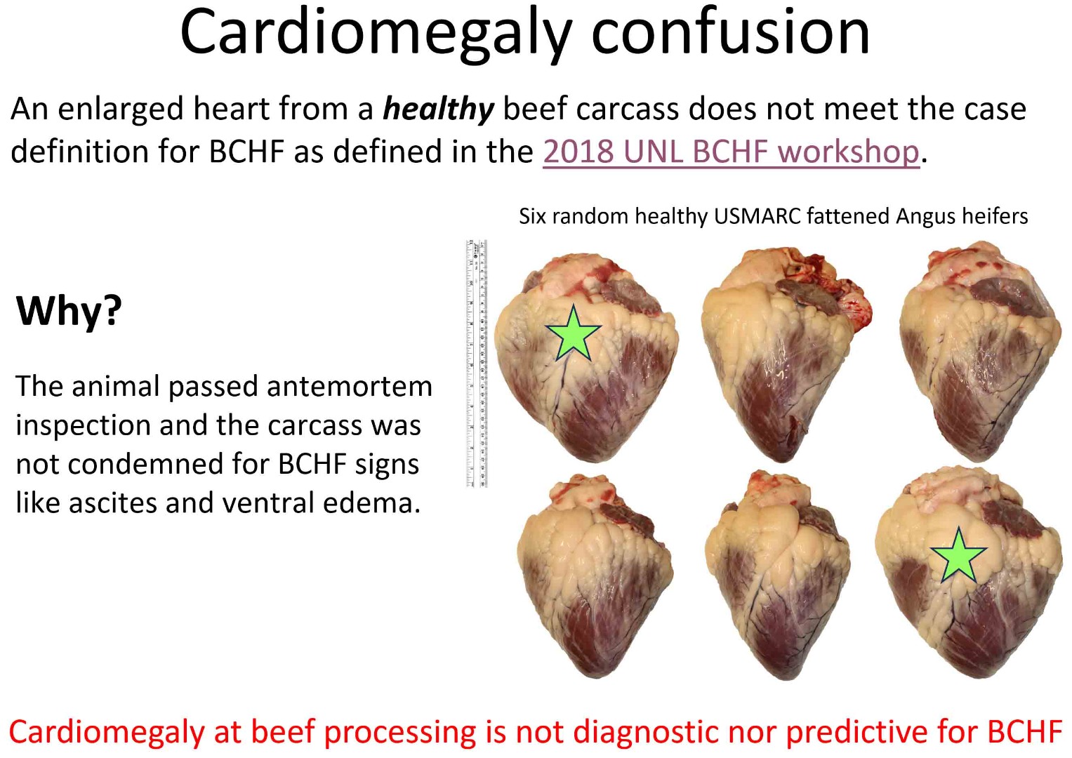 /ARSUserFiles/30400500/BCHF_photos/Cardiomegaly6AngusHeifers250k.jpg