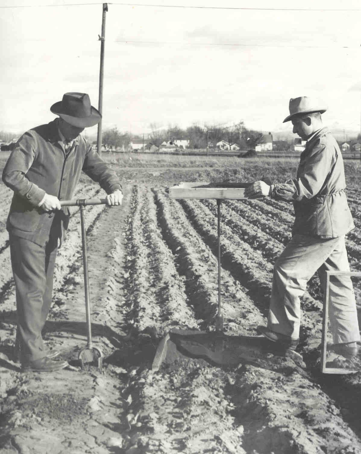 This is how researchers sampled for soil insects in 1951--Photo courtesy of James Fisher