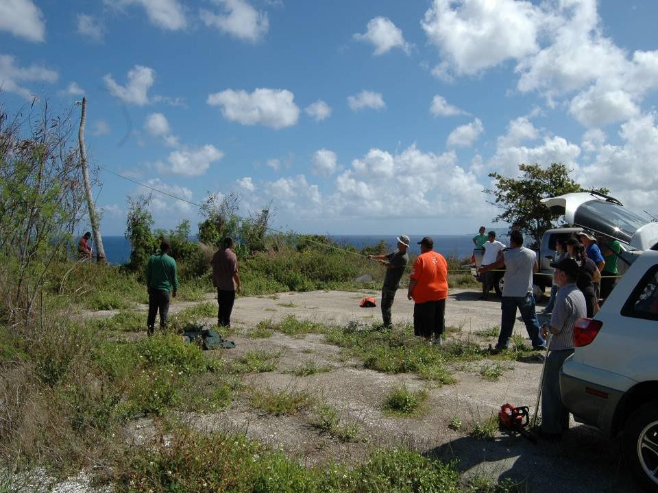 Searching for coconut rhinoceros beetle larvae in Guam