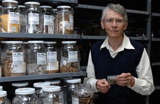 Mark Widrlechner with ash seed collection in cold room.