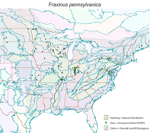 Fraxinus pennslyvanica - distribution, collected sites, Omernik Level III ecoregions.