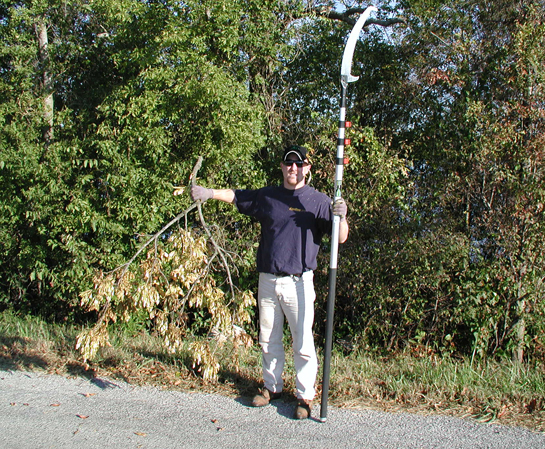 Jeff Carstens with a branch of harvested ash seed.